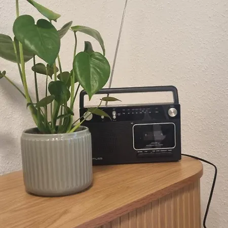 Z1 - Zentral Mit Parkplatz Am Objekt Διαμέρισμα Μάινινγκεν