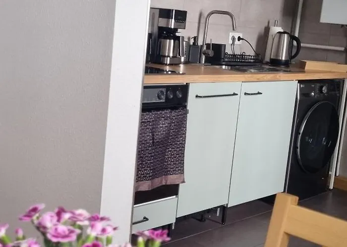 Z1 - Zentral Mit Parkplatz Am Objekt * 마이닝겐